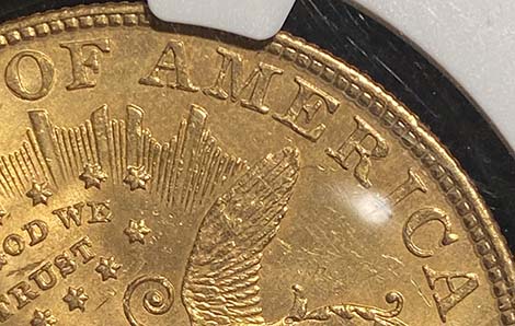 detail